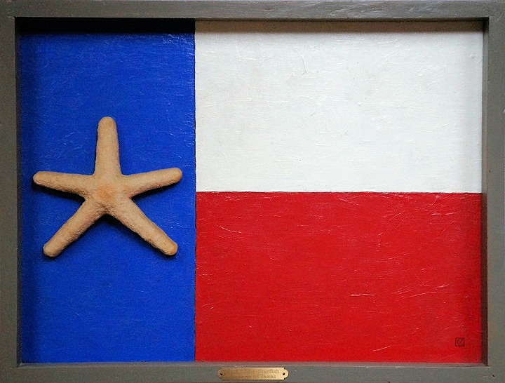 Lone-Strarfish Banner of Texas